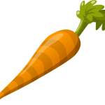 carrot-575529_640